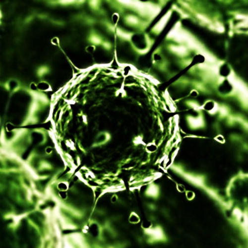 Parainfluenza Virus